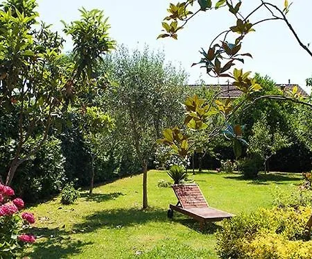 Bed & Breakfast Al Piano Di Sopra